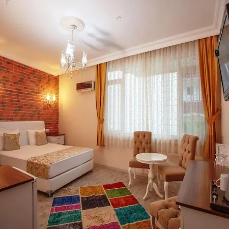 酒店 Ozmen Old Town Kaleici (adults Only) 2*